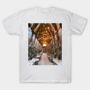 Beautiful Walkway T-Shirt